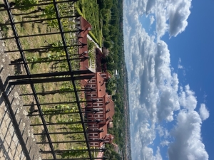 Botanická zahrada